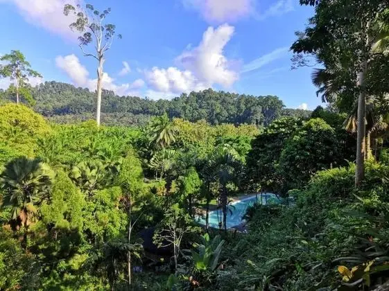 Balung River Eco Resort