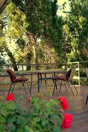 Bamboo Guest House - Dış Mekan