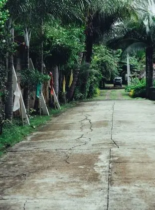 Bamboo Hostel Palawan - Dış Mekan
