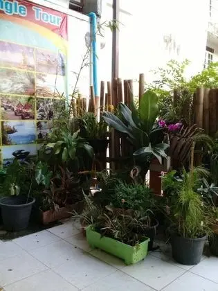 Bamboo Rest House - Dış Mekan
