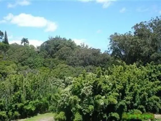 Bamboo Valley Inn - 1
