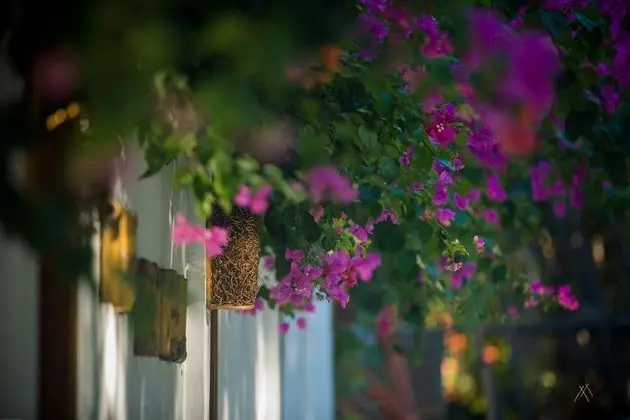 The Bambu Huts - Dış Mekan
