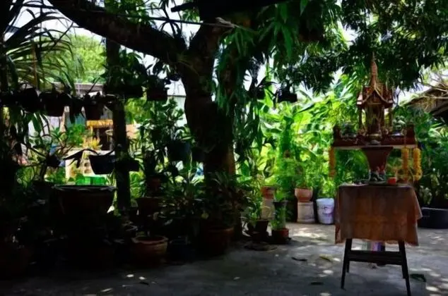 Ban To Guesthouse - Dış Mekan