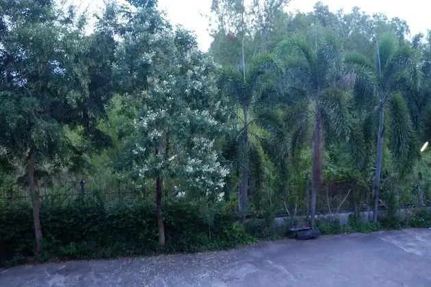 Ban Medsai Resort - Dış Mekan