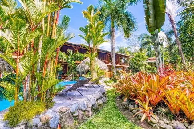 Hotel Banana Azul - Adults Only - Havuz