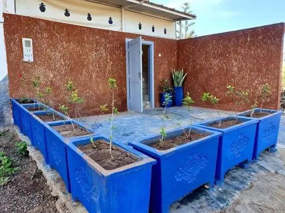 Banana beach house Morocco