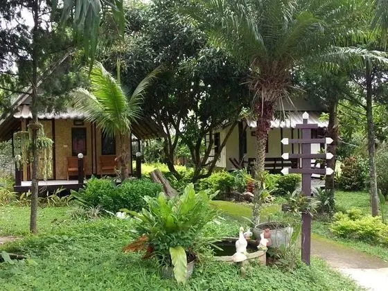 Banana House Pai