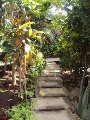 Banana Leaf Bungalows - Dış Mekan