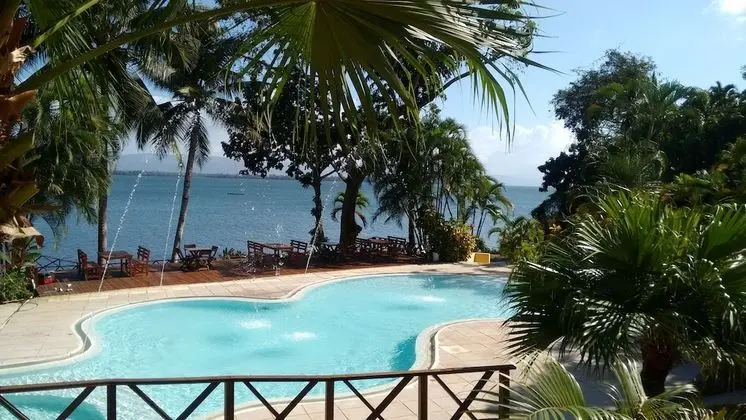 Banana Palms Hotel - Havuz