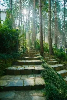 Bandipur Mountain Resort - Dış Mekan