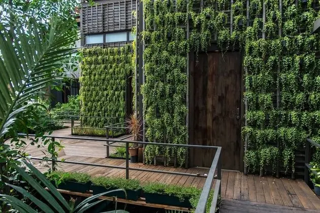 Bangkok Tree House - Dış Mekan