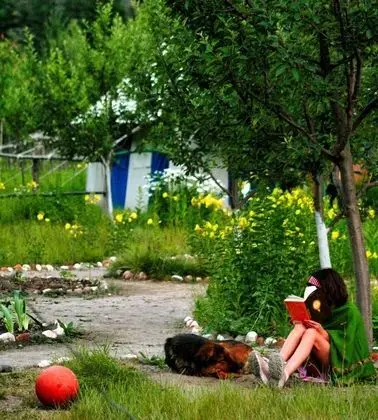 Banjara Camp and Retreat Sangla - Oda