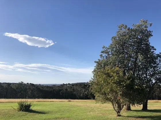 Banksia Park Estate