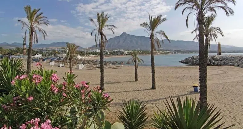 Banus Beach Studio - Plaj