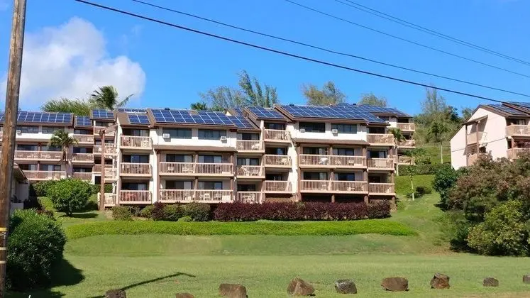 Banyan Harbor