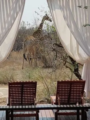 The Baobab Bush Lodge - Dış Mekan