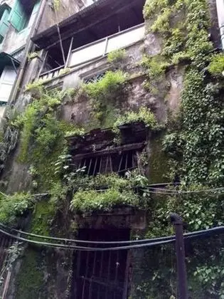 BaobaBed Hostel Chinatown, Yangon - Dış Mekan