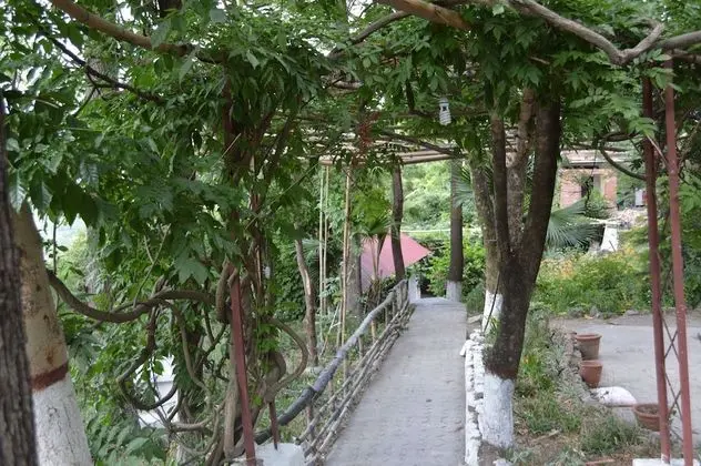 Bara Bungalow Jeolikote, Nainital – A Rosakue Collection