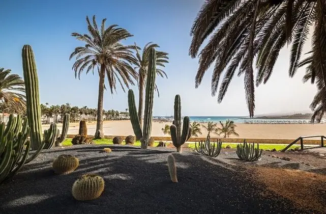 Barceló Fuerteventura Royal Level - Adults Only - Dış Mekan