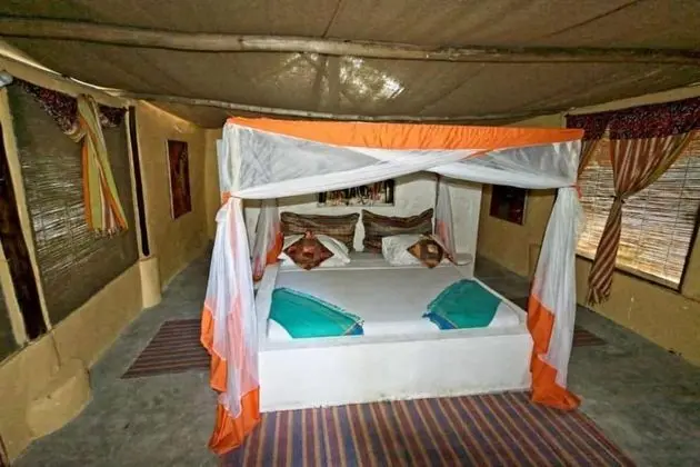 Barefoot Beach Camp