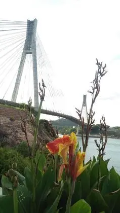 Barelang Bridge Hotel - Öne Çıkan Resim