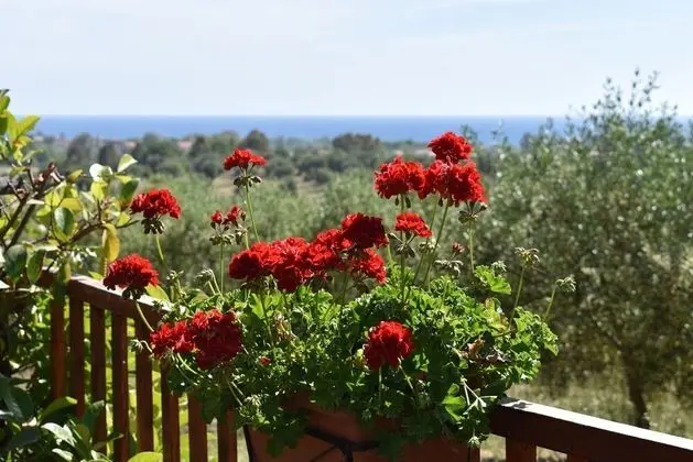 Barnìa - Agriturismo - Dış Mekan