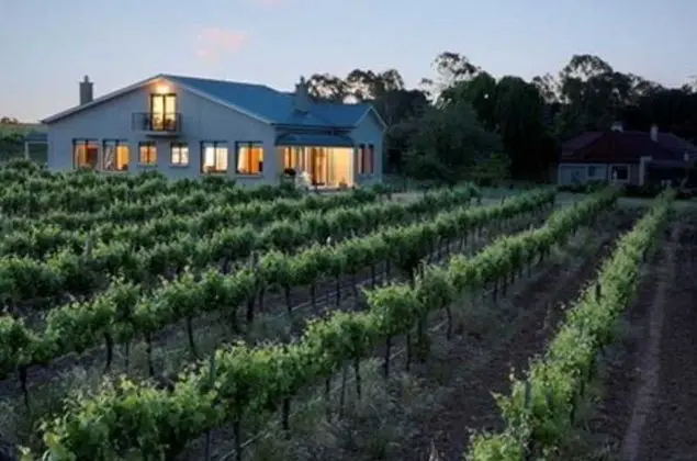 Barossa Shiraz Estate