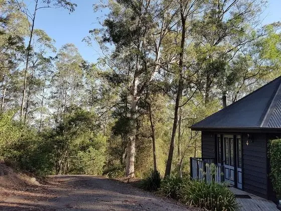 Barrington Tops Nest
