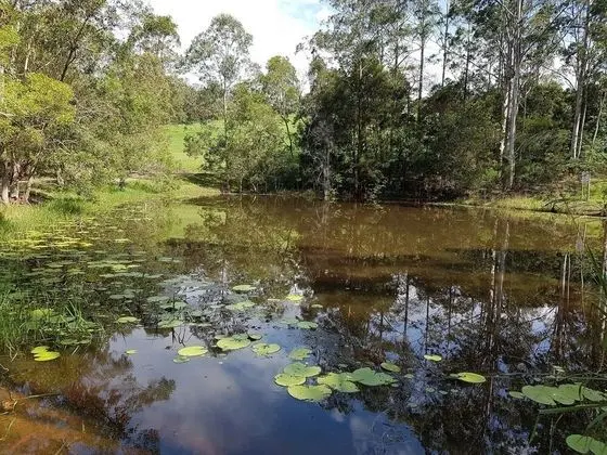 Barrington Tops Nest - Dış Mekan