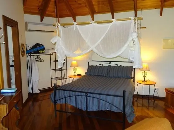 Barrington Tops Nest - Oda