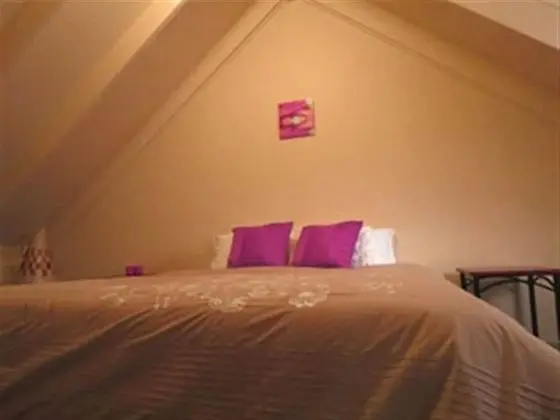 Barrington Wilderness Cedar Lodge Accommodation - Oda