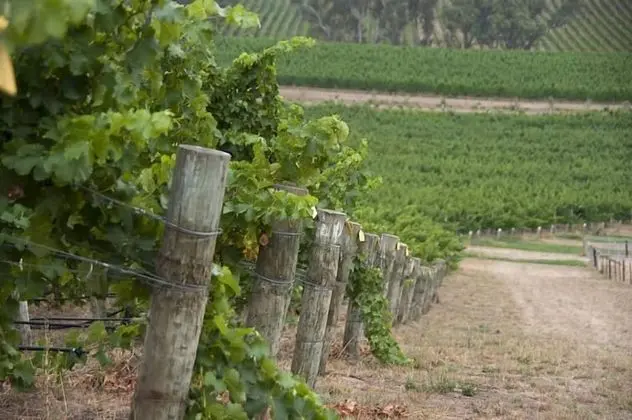 Barristers Block Vigneron Villa - Dış Mekan