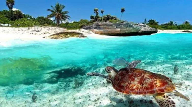 Baru Puerto Aventuras - Plaj