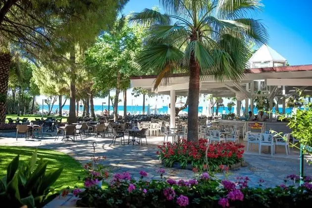 Barut Hemera Ultra - 8