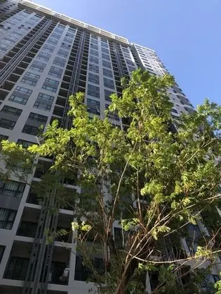 The Base Central Pattaya by Minsu - Dış Mekan