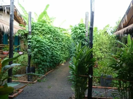 Battambang Dream Bungalows - Dış Mekan