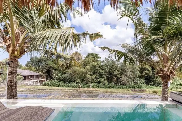 Batukaru Private Pool Suite 1 - Havuz