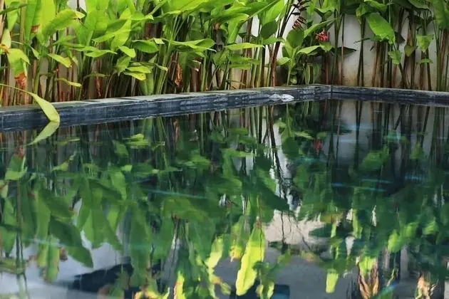 The Bau Bi Retreat - Havuz