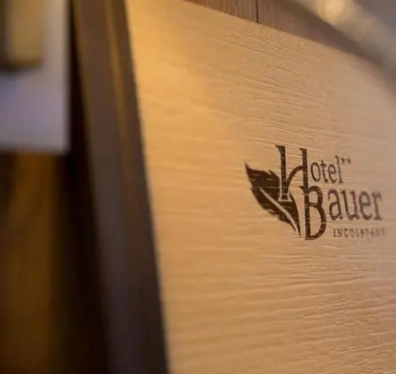 Hotel Bauer garni - Genel