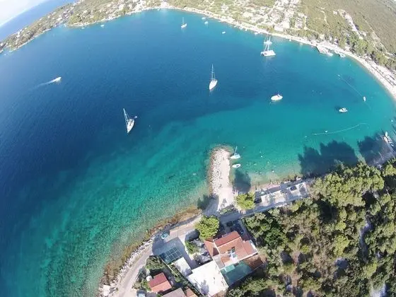 Baumgartner- Paradise Punta