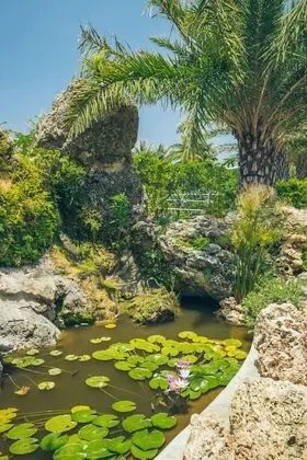 Bay Forest Boutique Hotel - Dış Mekan