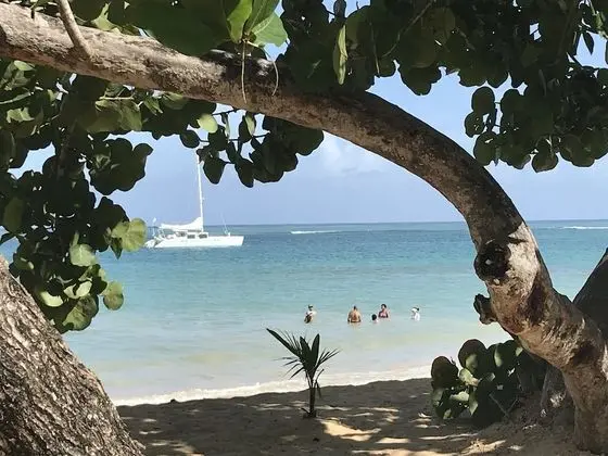 Bayahibe Hotel El Pulpo - Plaj