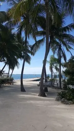 Bayside Inn Key Largo - Plaj