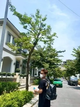 BBQ Villa & Hostel Ha Long - Dış Mekan