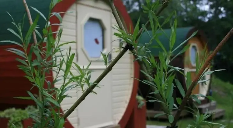 BCC Lochness Glamping - Dış Mekan
