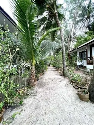 Beach Bungalow - Dış Mekan