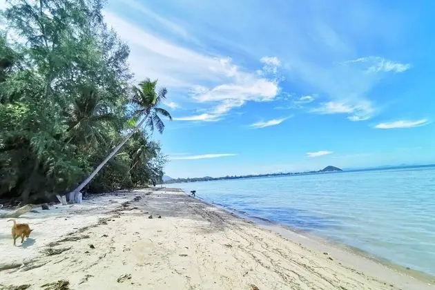 Beach Bungalow - Plaj