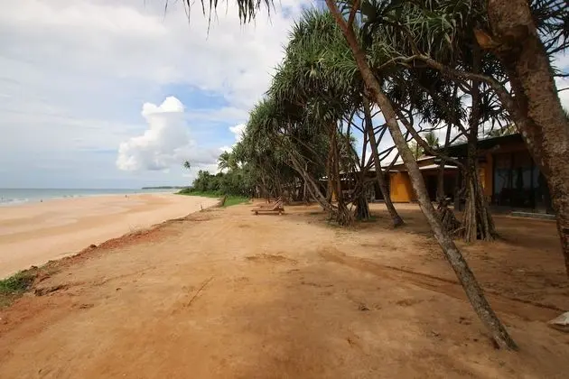 The Beach Cabanas - Plaj