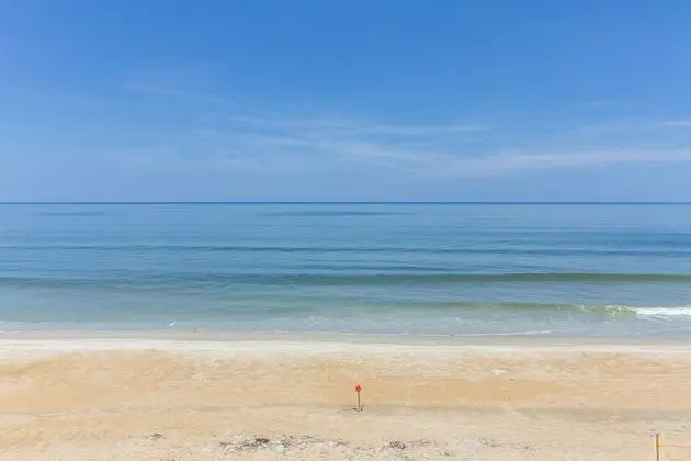 Beach Daze
