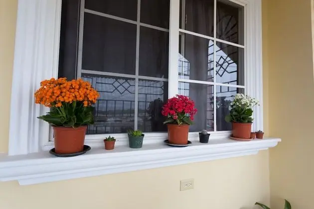 The Beach Estate Country Club Villa - Dış Mekan